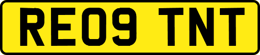 RE09TNT