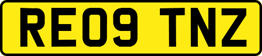 RE09TNZ