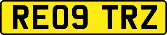 RE09TRZ