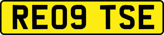 RE09TSE