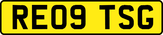 RE09TSG