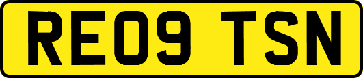 RE09TSN