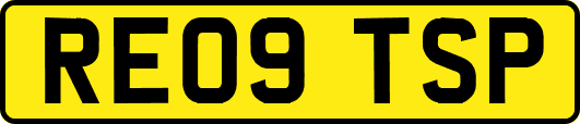RE09TSP