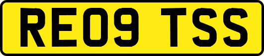 RE09TSS