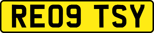 RE09TSY