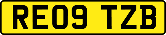 RE09TZB