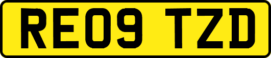 RE09TZD
