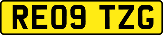 RE09TZG