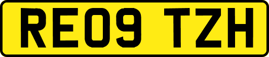 RE09TZH