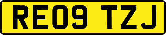 RE09TZJ