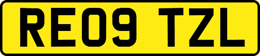 RE09TZL