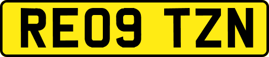 RE09TZN