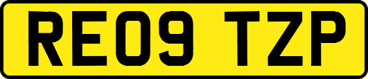RE09TZP