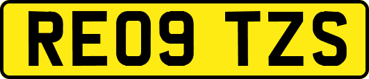 RE09TZS