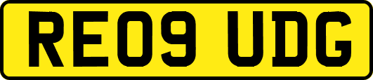 RE09UDG
