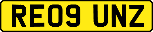 RE09UNZ