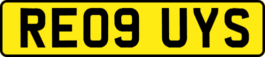 RE09UYS