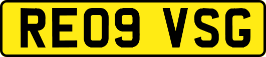 RE09VSG