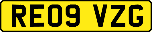 RE09VZG
