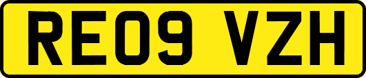 RE09VZH
