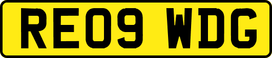 RE09WDG