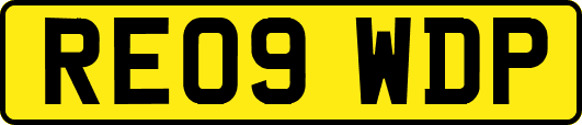 RE09WDP
