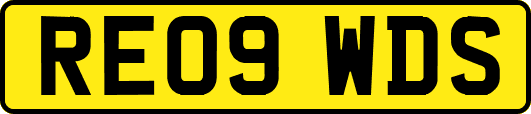 RE09WDS