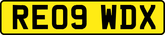 RE09WDX