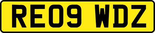 RE09WDZ