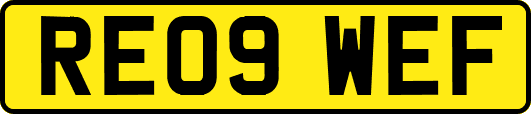 RE09WEF