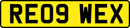 RE09WEX