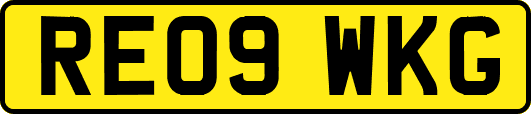 RE09WKG