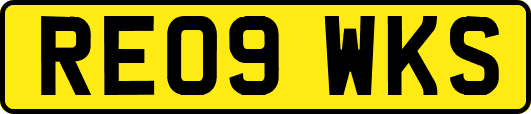RE09WKS
