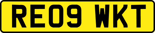 RE09WKT