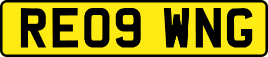 RE09WNG