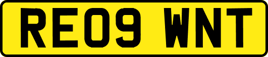 RE09WNT