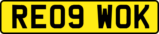 RE09WOK
