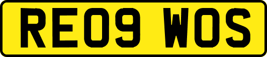 RE09WOS