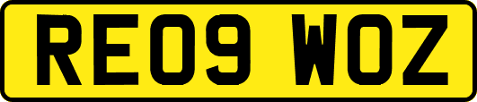 RE09WOZ