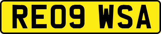 RE09WSA