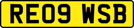 RE09WSB