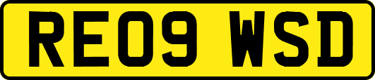 RE09WSD