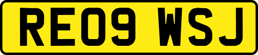 RE09WSJ