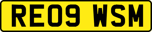 RE09WSM