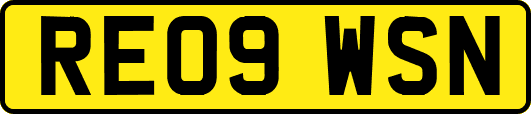 RE09WSN