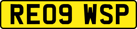 RE09WSP