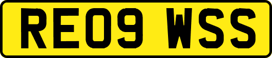 RE09WSS