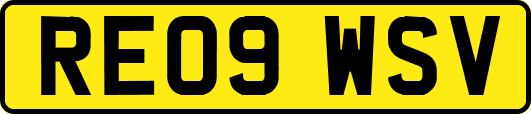 RE09WSV