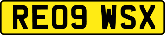 RE09WSX