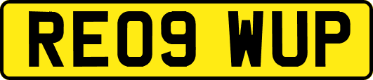 RE09WUP